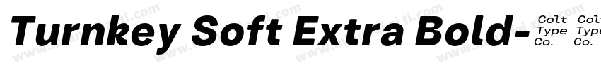 Turnkey Soft Extra Bold字体转换